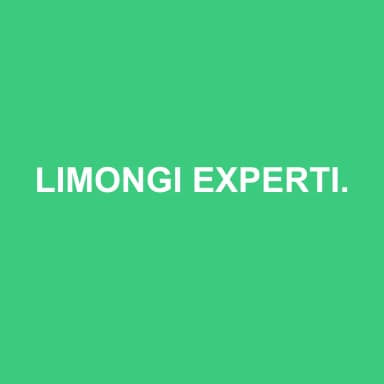 Logo de LIMONGI EXPERTISE