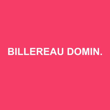 Logo de BILLEREAU DOMINIQUE