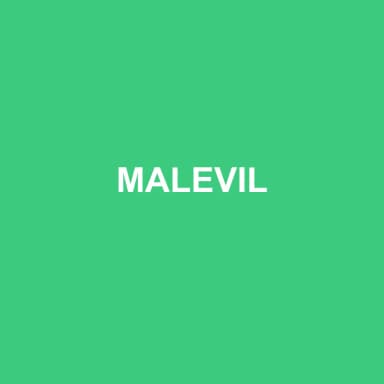 Logo de MALEVIL