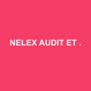 Logo de Nelex Audit et Conseil