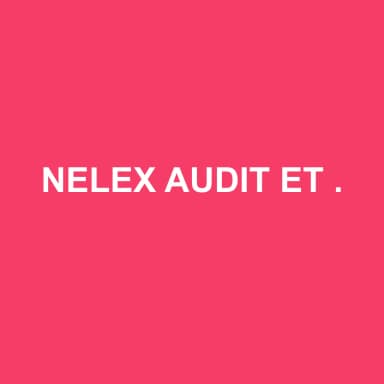 Logo de NELEX AUDIT ET CONSEIL