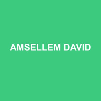 Logo de AMSELLEM DAVID