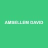 AMSELLEM DAVID