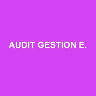 Logo de AUDIT GESTION EXPERTISE COMPTABLE