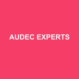 Logo Audec Experts - Expert-comptable à Marseille