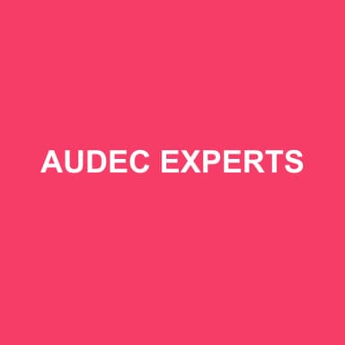 Logo de AUDEC EXPERTS