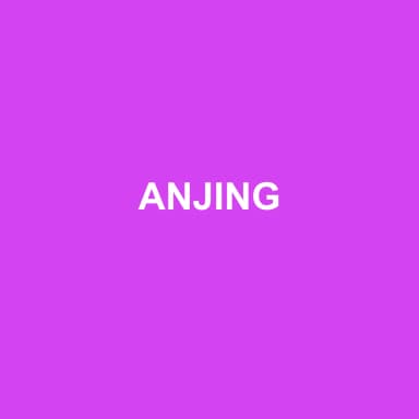 Logo de ANJING