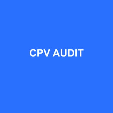 Logo de CPV AUDIT