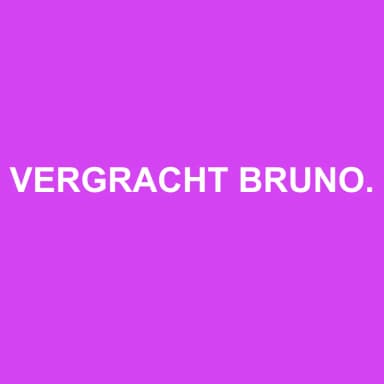 Logo de VERGRACHT BRUNO SARL