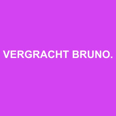 Logo de VERGRACHT BRUNO SARL