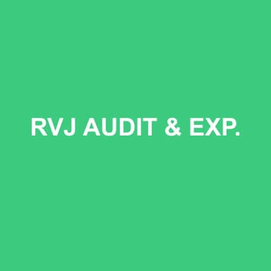 Logo de RVJ AUDIT & EXPERTISE