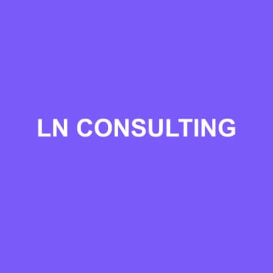 Logo de LN CONSULTING