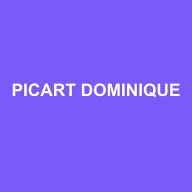 Logo de PICART DOMINIQUE