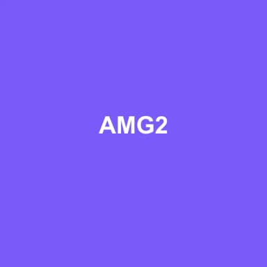 Logo de AMG2