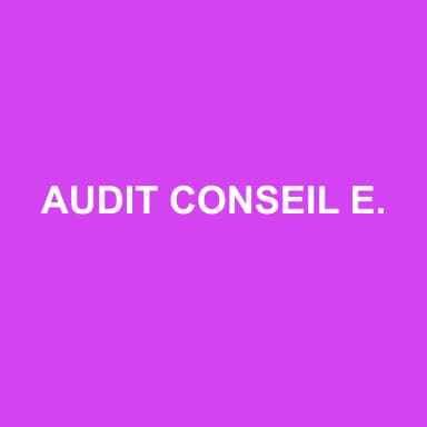 Logo de AUDIT CONSEIL EXPERTISE