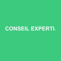 Logo Conseil Expertise et Audit Antilles Guyane - Expert-comptable à Baie-Mahault