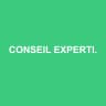 CONSEIL EXPERTISE ET AUDIT ANTILLES GUYANE
