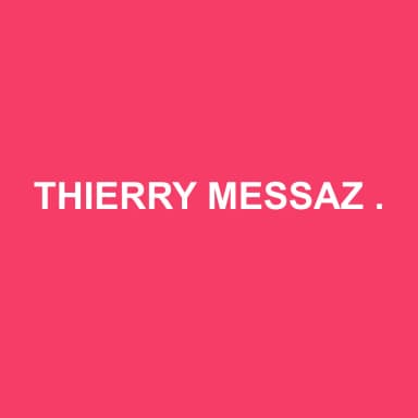 Logo de THIERRY MESSAZ CONSEILS