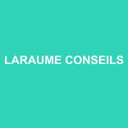 Logo LARAUME CONSEILS
