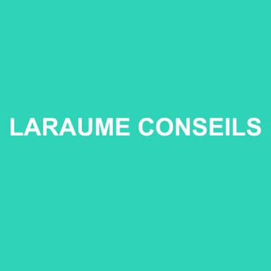 Logo de LARAUME CONSEILS