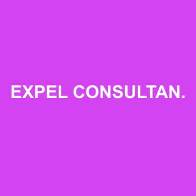 Logo de EXPEL CONSULTANTS