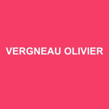 Logo de VERGNEAU OLIVIER