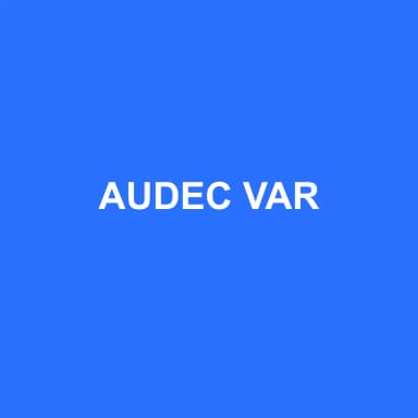 Logo de AUDEC VAR