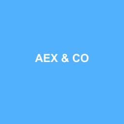 Logo Aex & co - Expert-comptable à Saint-Chamond