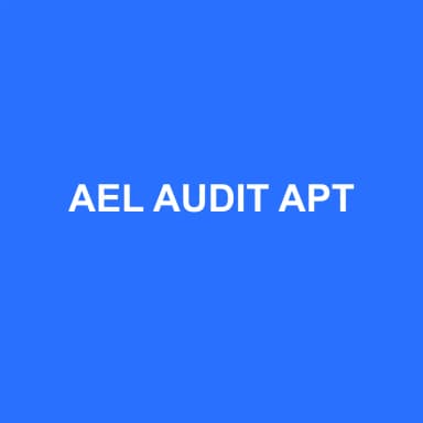 Logo de AEL AUDIT APT