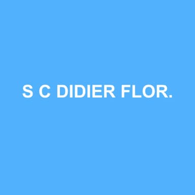 Logo de S C DIDIER FLORENT SOCIETE CIVILE DE PARTICIPATIONS D'EXPERTISE COMPTABLE