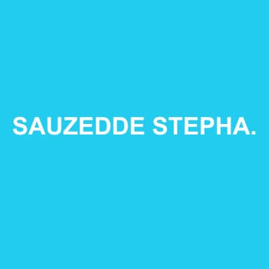 Logo de SAUZEDDE STEPHANE EXPERTISE CONSEIL