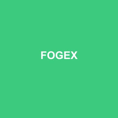 Logo de FOGEX