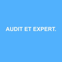 Logo Audit et Expertise Guyane Antilles - Expert-comptable à Matoury