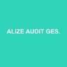 ALIZE AUDIT GESTION CONSEIL
