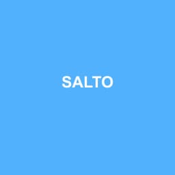 Logo Salto - Expert-comptable à Créon