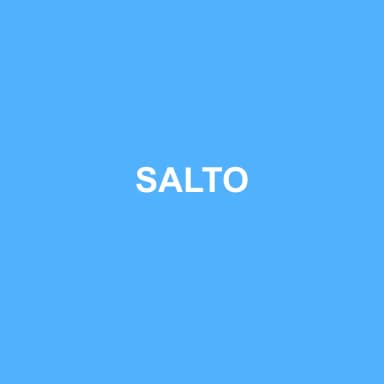 Logo de SALTO