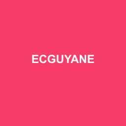 Logo Ecguyane - Expert-comptable à Remire-Montjoly