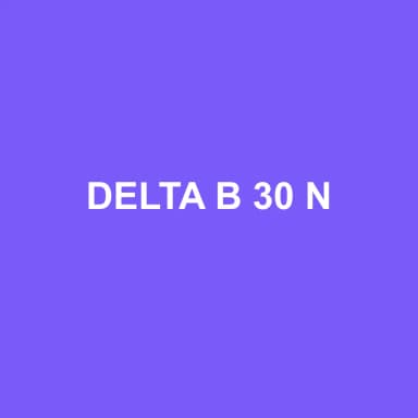 Logo de DELTA B 30 N