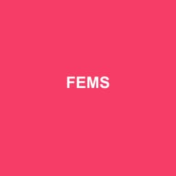 Logo Fems - Expert-comptable à Issenhausen