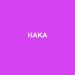 Logo Haka - Expert-comptable à Saint-Dié-des-Vosges