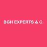 BGH EXPERTS & CONSEILS