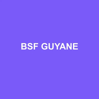 Logo de BSF GUYANE