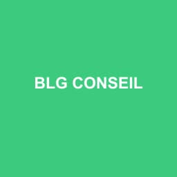 Logo BLG CONSEIL