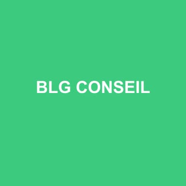 Logo de BLG CONSEIL