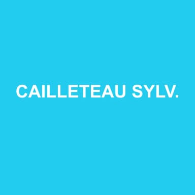 Logo de CAILLETEAU SYLVIE