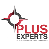 Logo de PLUS EXPERTS FEILLENS