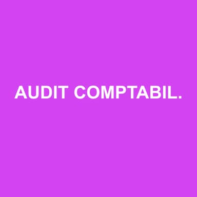 Logo de AUDIT COMPTABILITE FINANCE ET GESTION