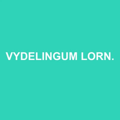 Logo de VYDELINGUM LORNAH