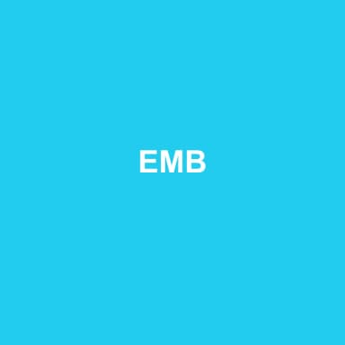 Logo de EMB