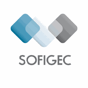 Logo de SOCIETE FIDUCIAIRE DE GESTION ET D'EXPERTISE COMPTABLE